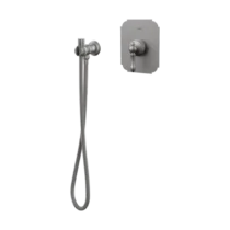 شیر توالت توکار مدل ناپل رنگ کروم مات